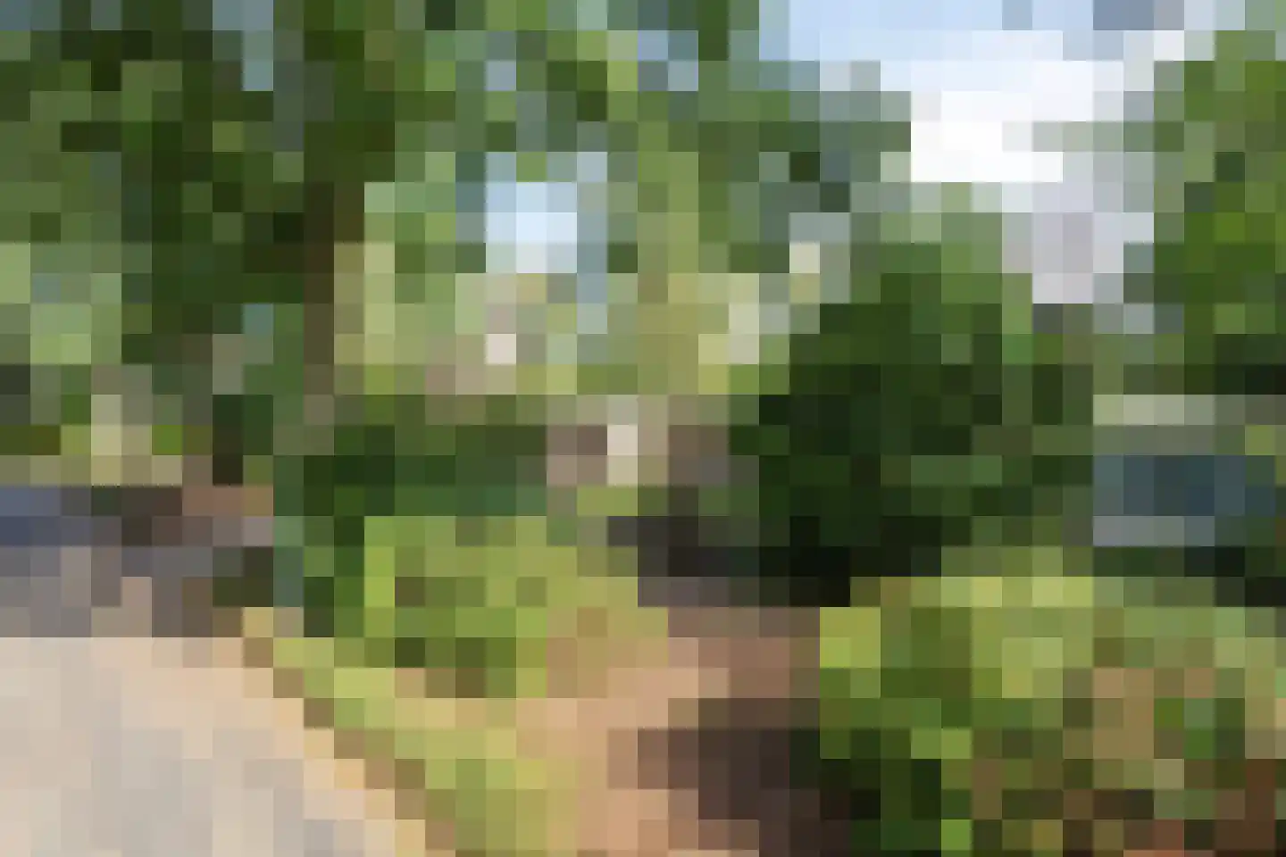 Sporkehout 36 Geldrop thumbnail 14