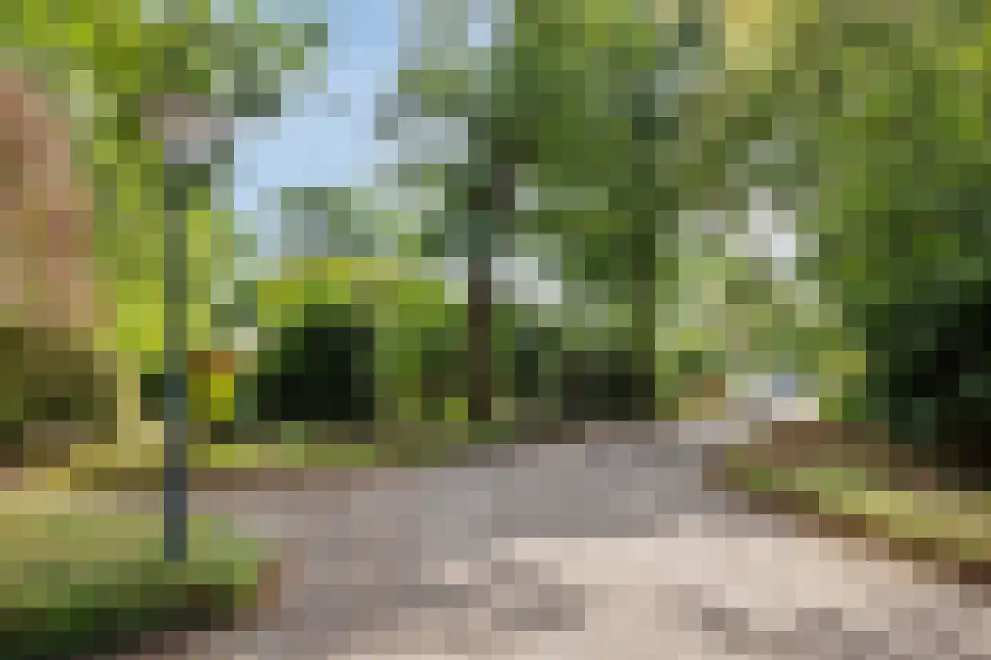 Sporkehout 36 Geldrop thumbnail 15