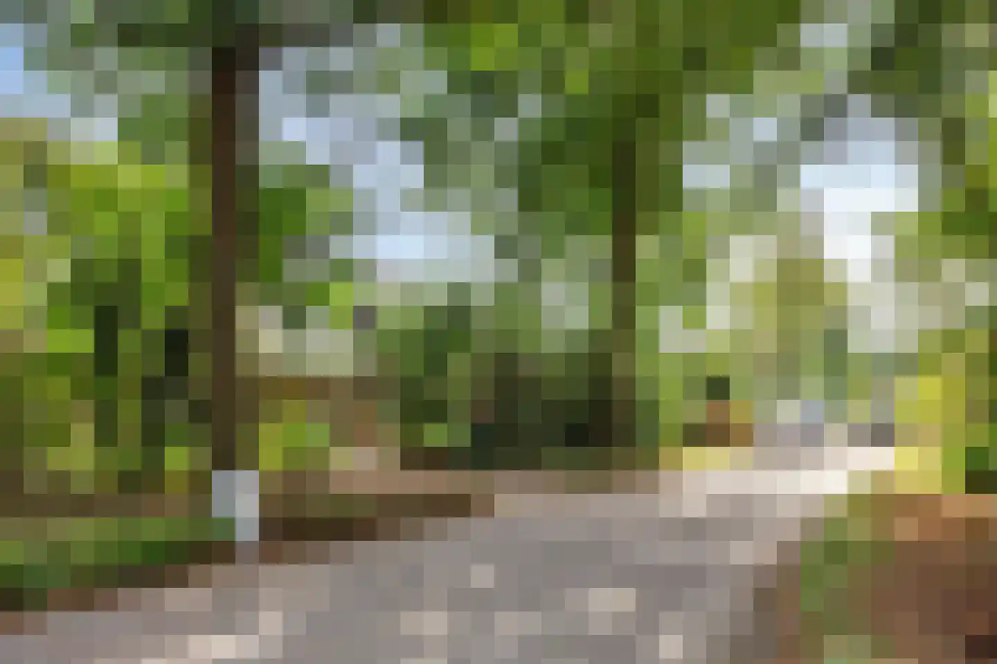 Sporkehout 36 Geldrop thumbnail 16