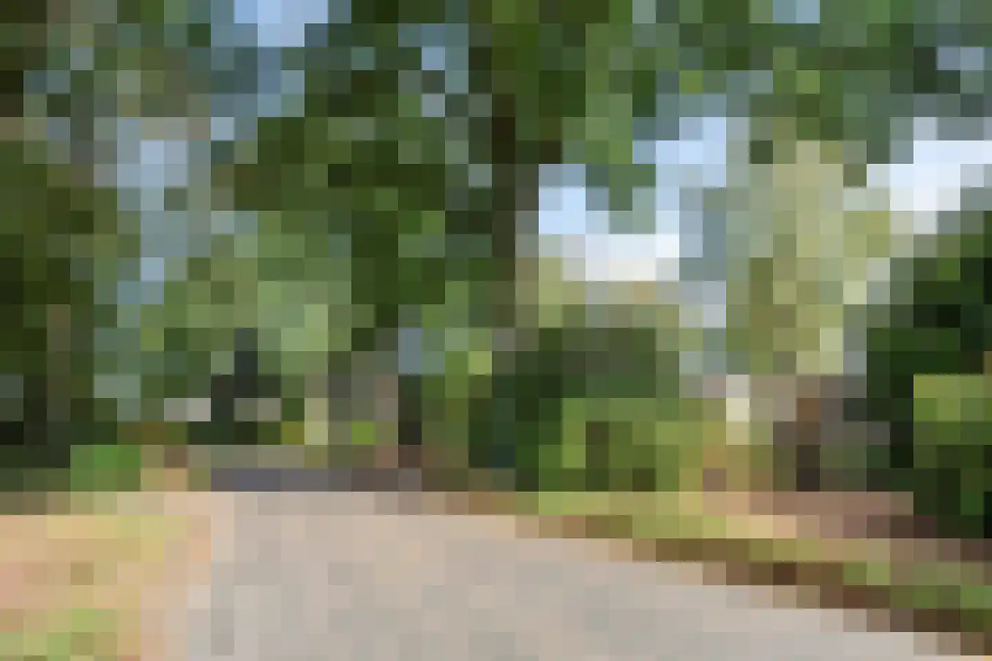 Sporkehout 36 Geldrop thumbnail 17