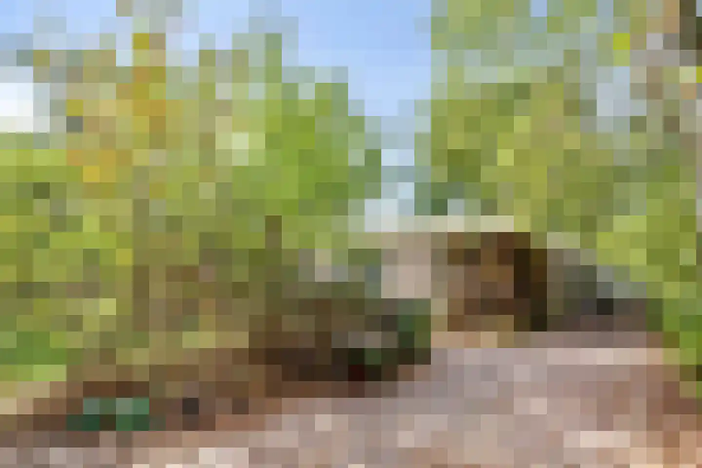 Sporkehout 36 Geldrop thumbnail 22