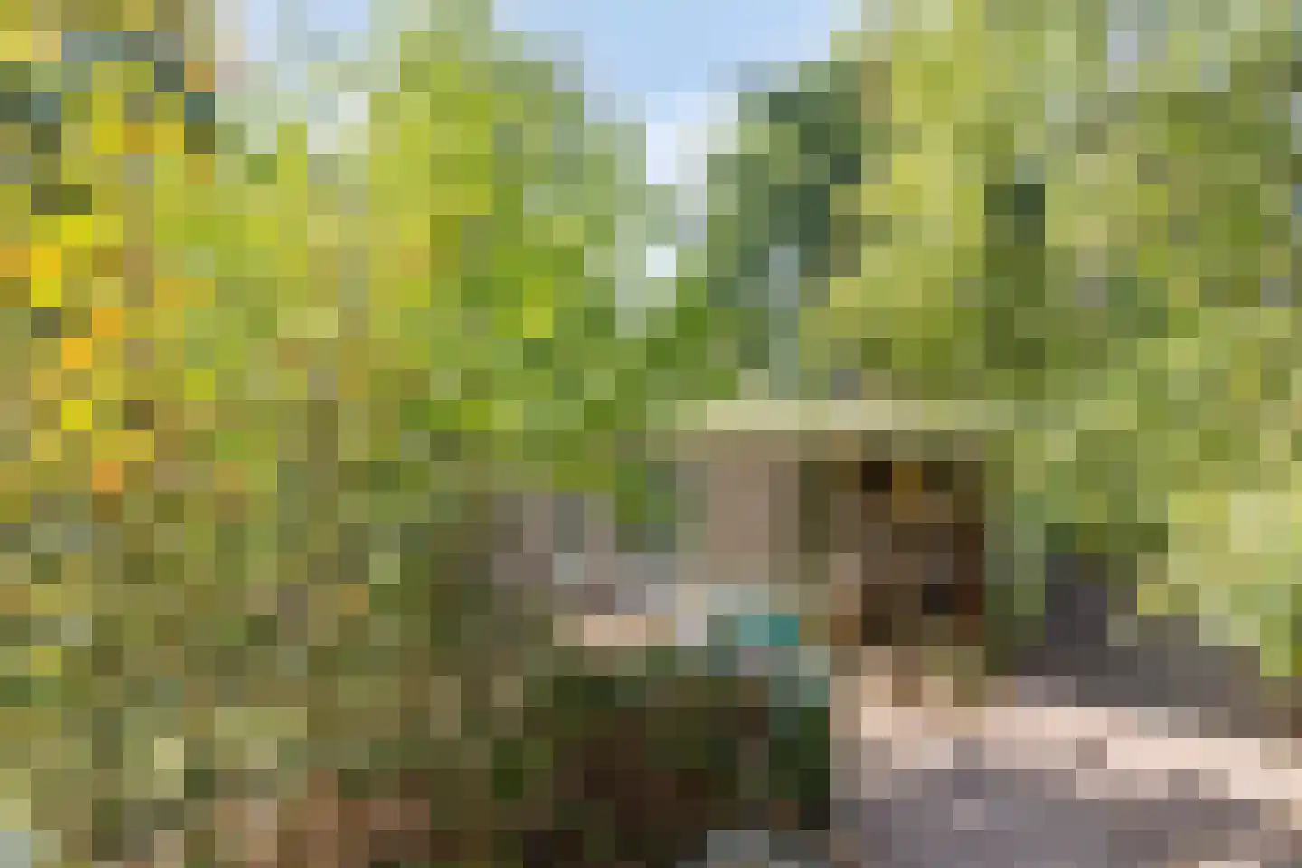 Sporkehout 36 Geldrop thumbnail 23