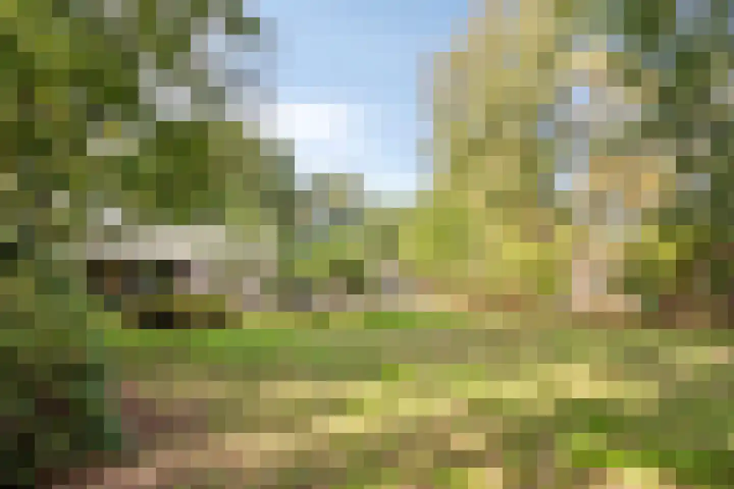Sporkehout 36 Geldrop thumbnail 24