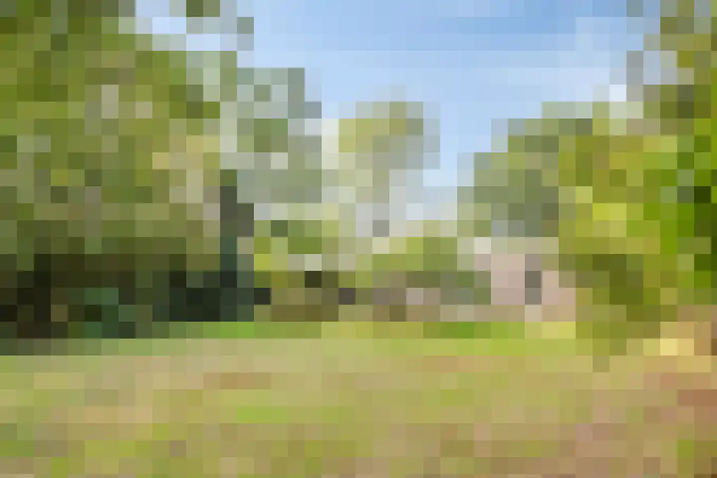 Sporkehout 36 Geldrop thumbnail 25
