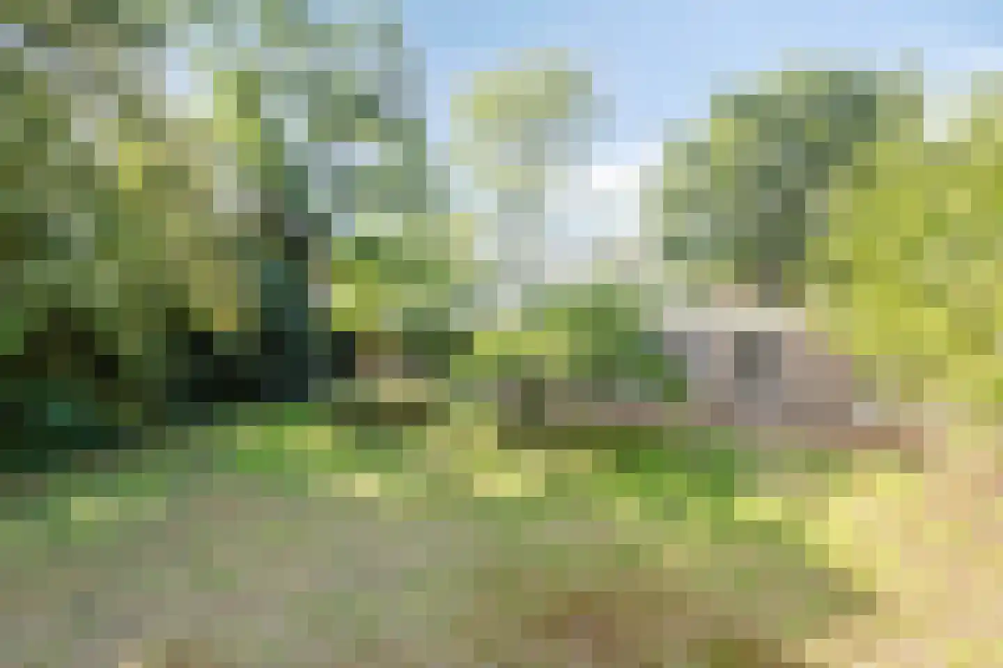 Sporkehout 36 Geldrop thumbnail 26