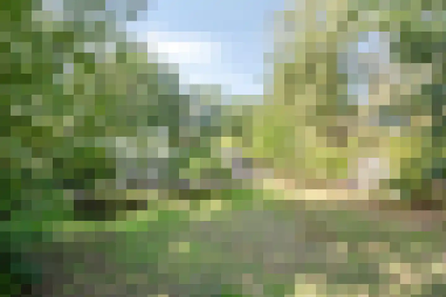 Sporkehout 36 Geldrop thumbnail 27
