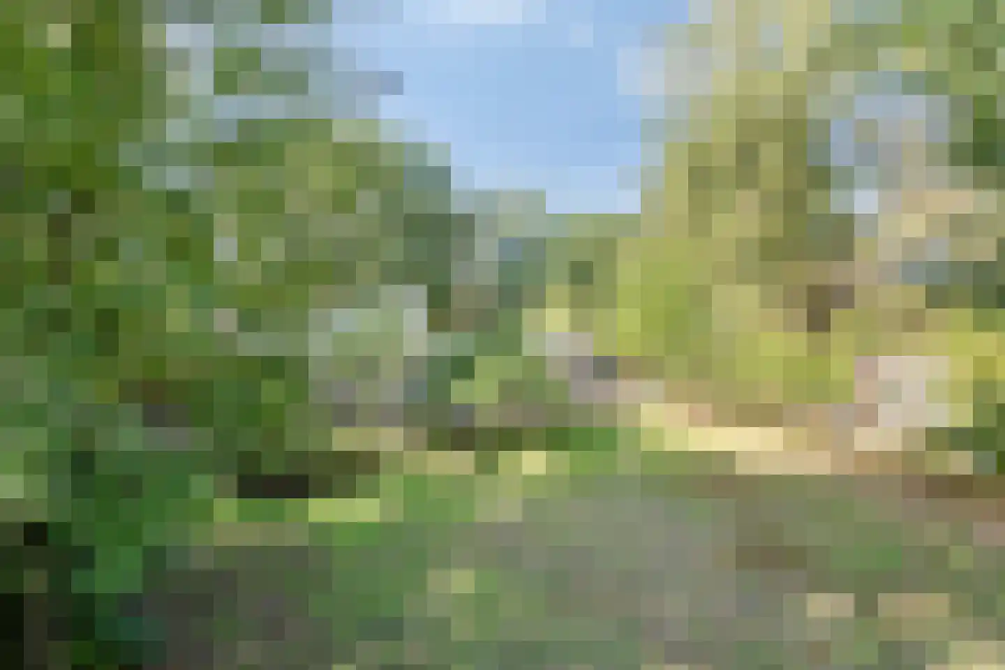 Sporkehout 36 Geldrop thumbnail 28