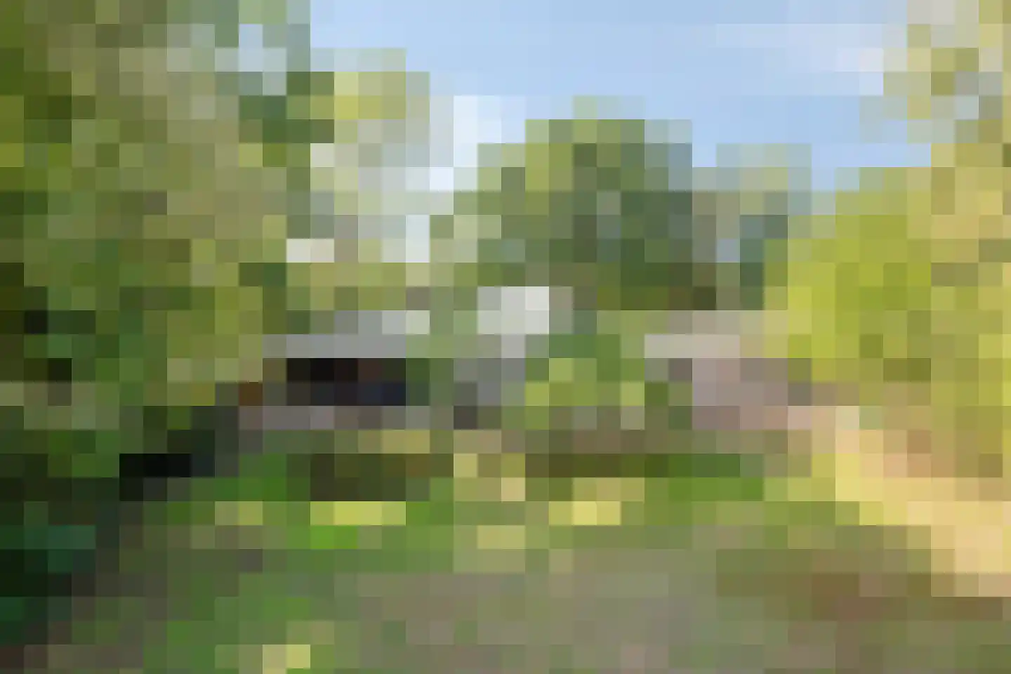 Sporkehout 36 Geldrop thumbnail 29
