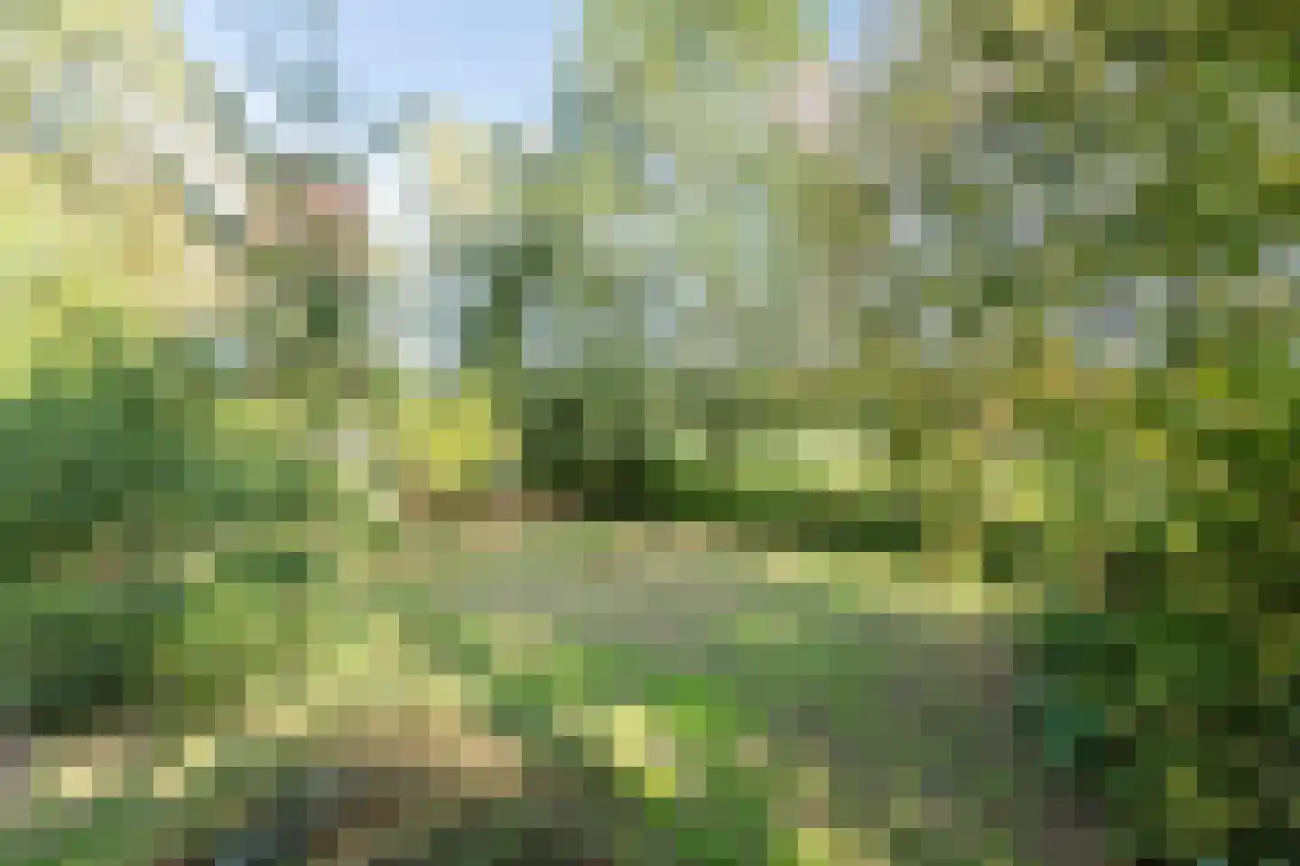 Sporkehout 36 Geldrop thumbnail 31