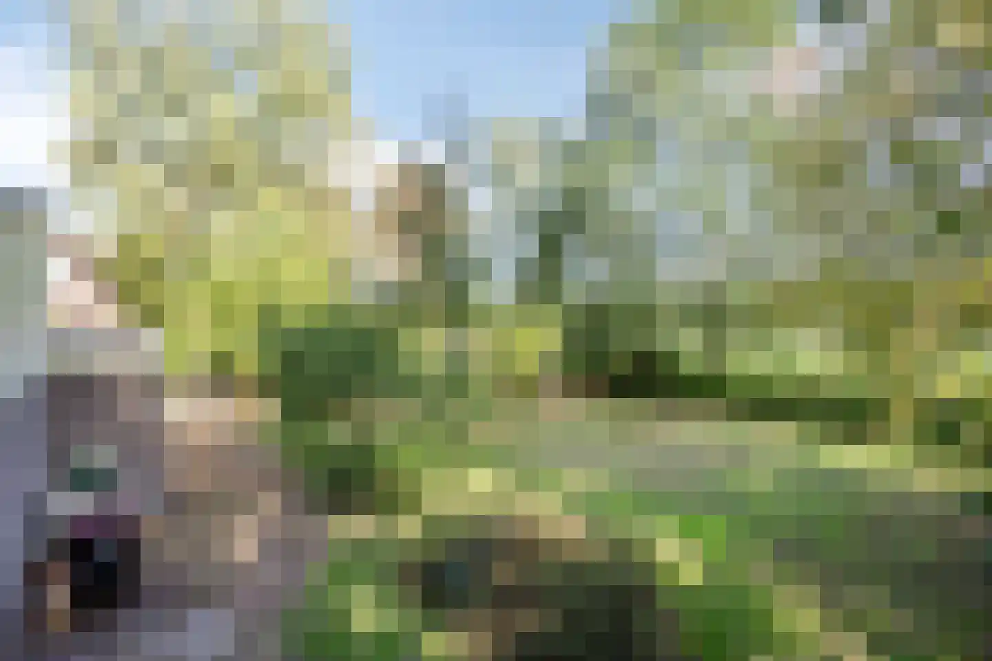 Sporkehout 36 Geldrop thumbnail 32