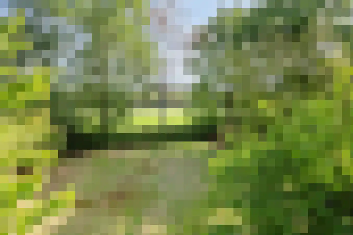 Sporkehout 36 Geldrop thumbnail 33