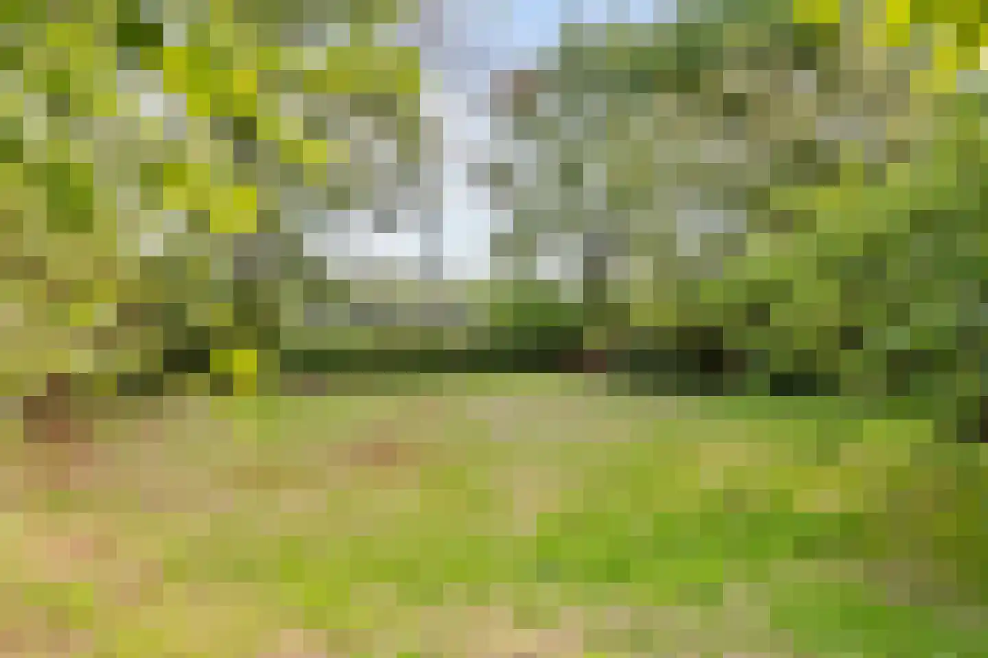 Sporkehout 36 Geldrop thumbnail 34
