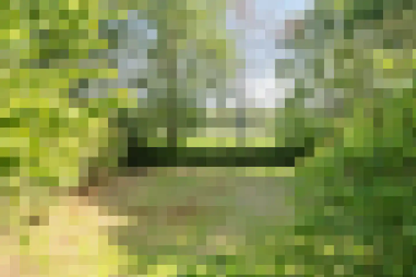 Sporkehout 36 Geldrop thumbnail 4