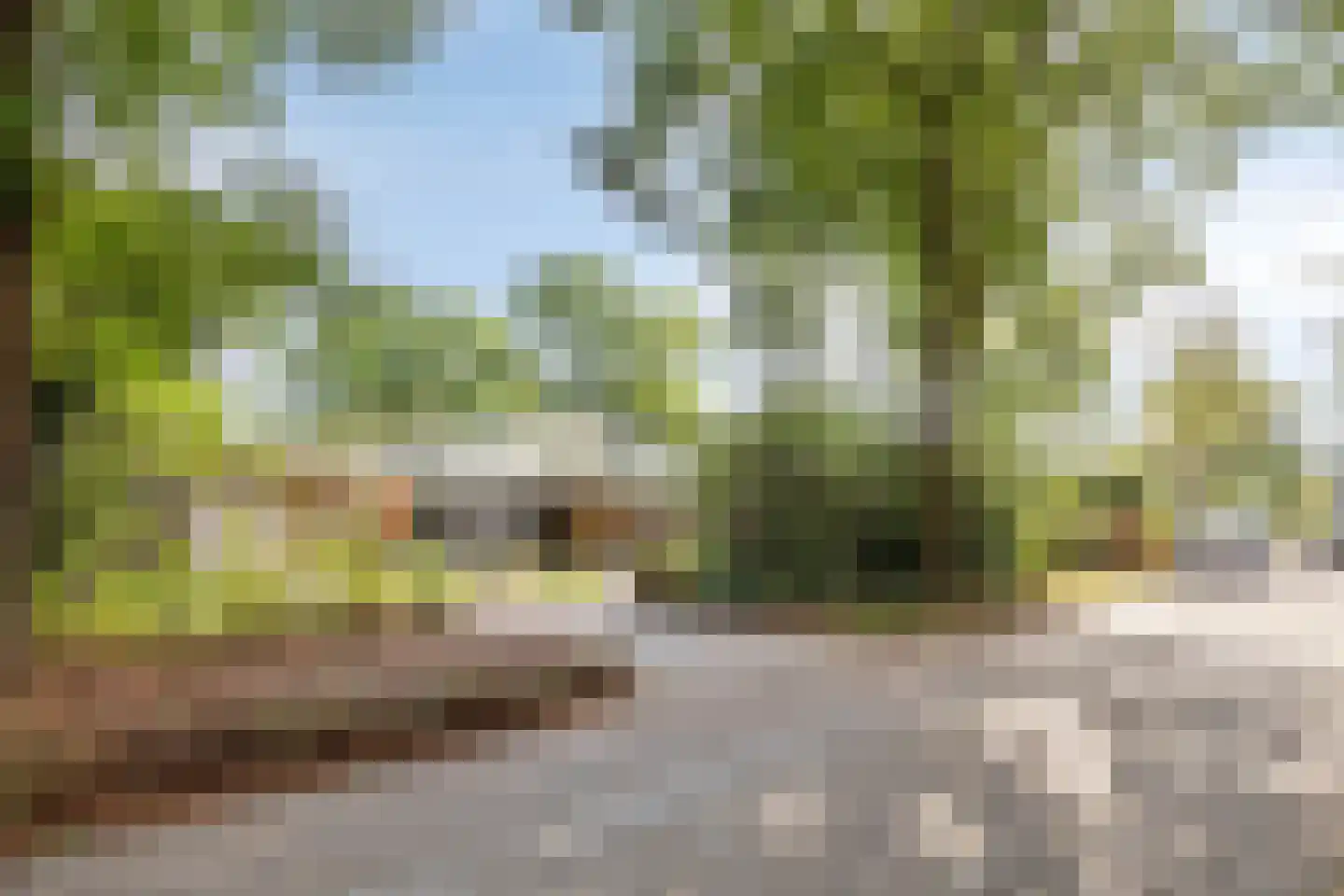 Sporkehout 36 Geldrop thumbnail 5