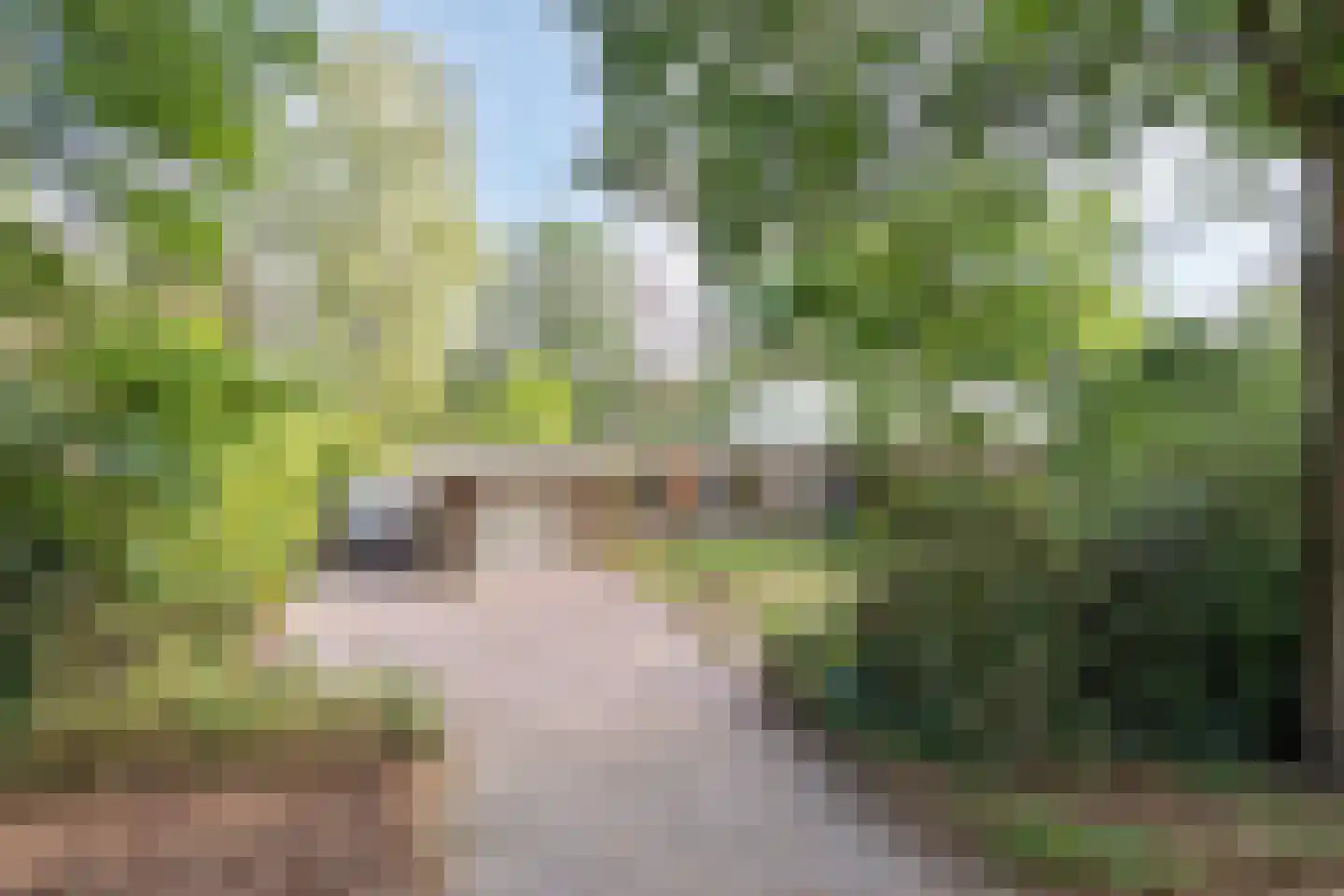 Sporkehout 36 Geldrop thumbnail 8