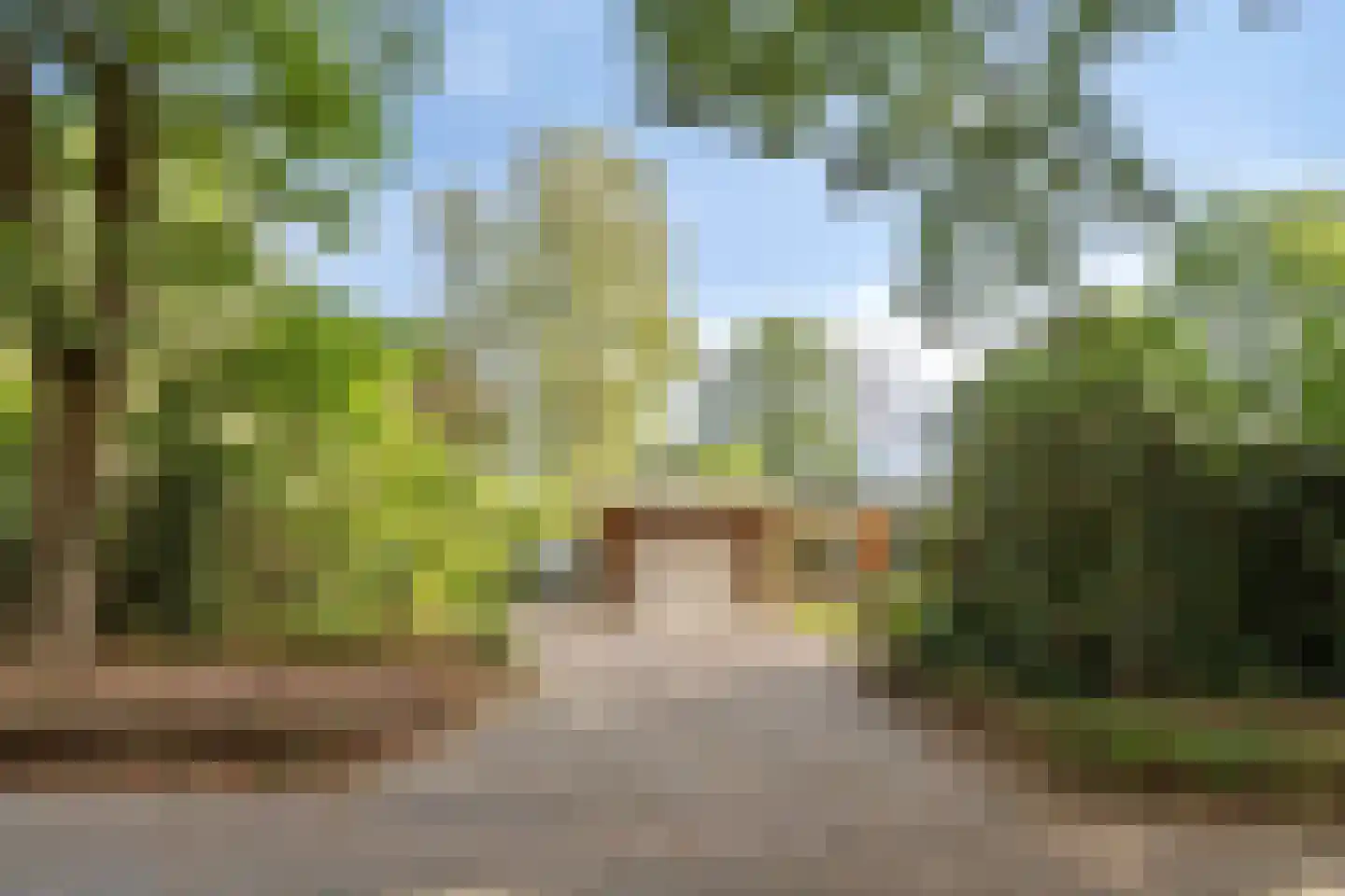 Sporkehout 36 Geldrop thumbnail 9