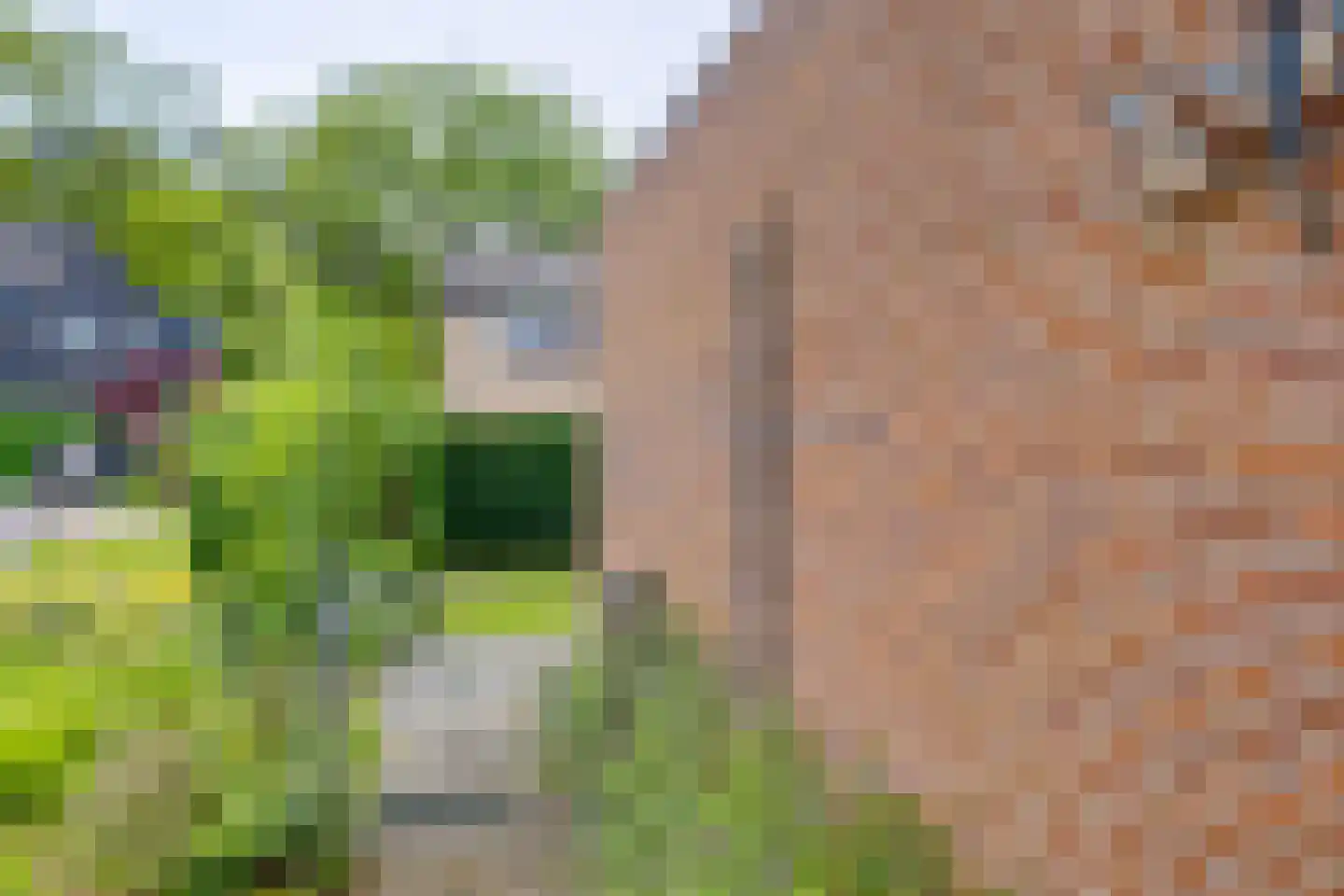 Sporkehout 38 Harfsen thumbnail 40