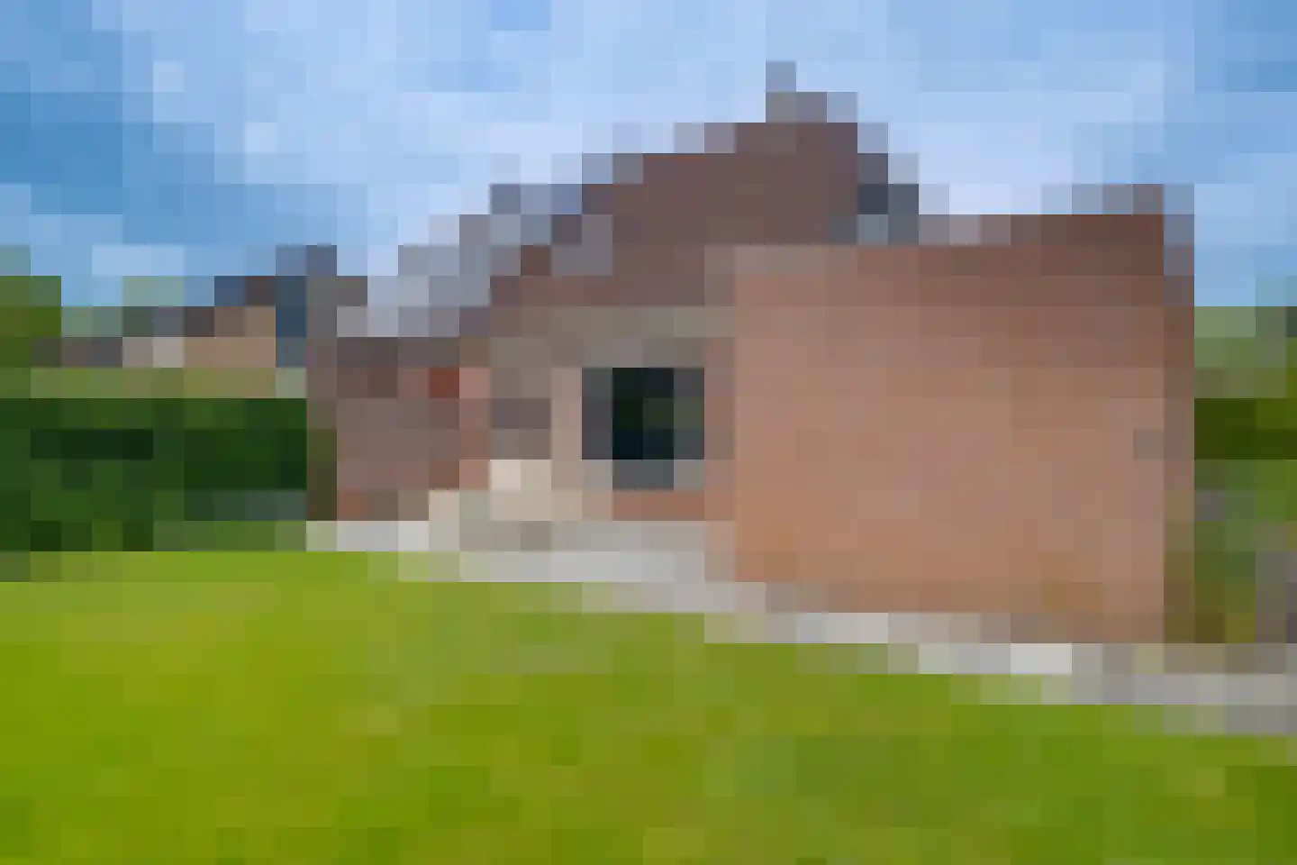 Sporkehout 38 Harfsen thumbnail 42