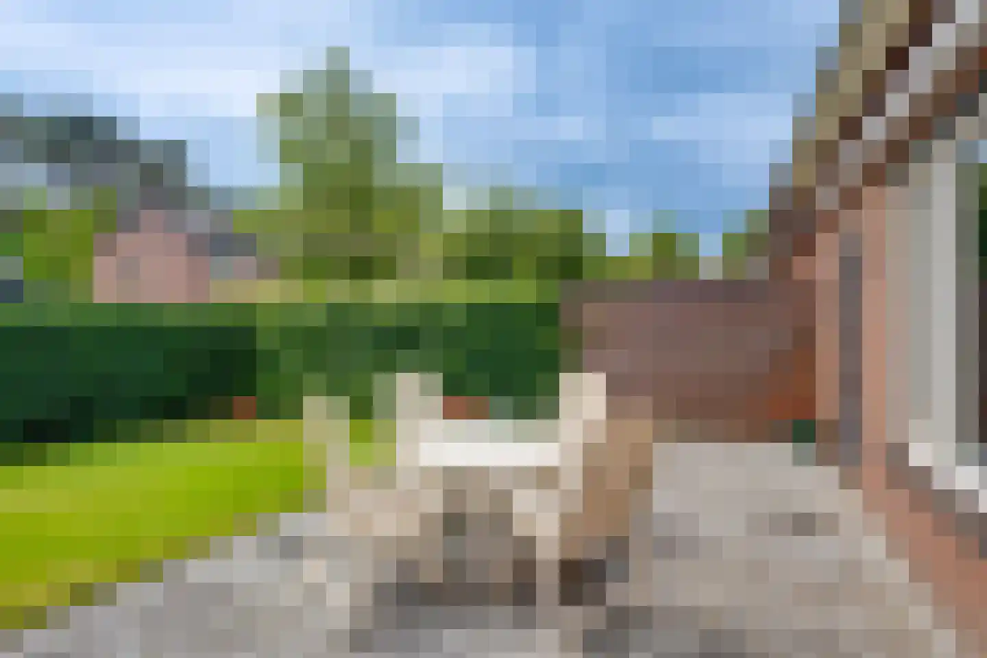 Sporkehout 38 Harfsen thumbnail 44