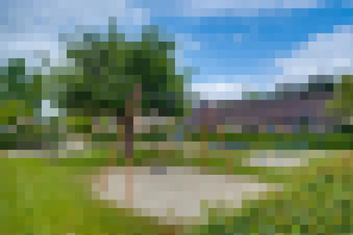 Sporkehout 38 Harfsen thumbnail 46