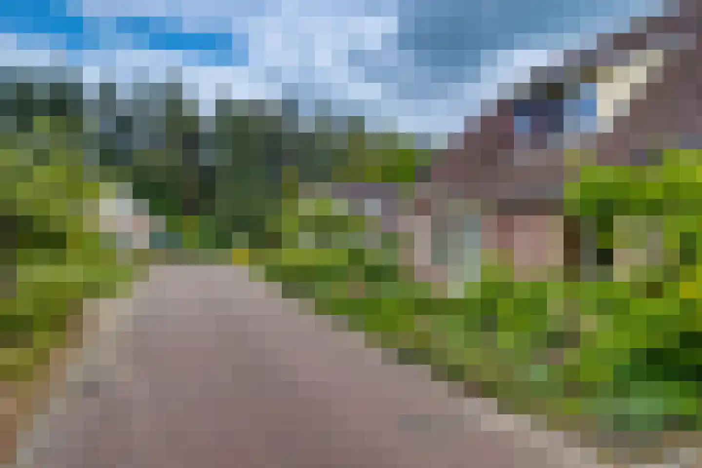 Sporkehout 38 Harfsen thumbnail 47