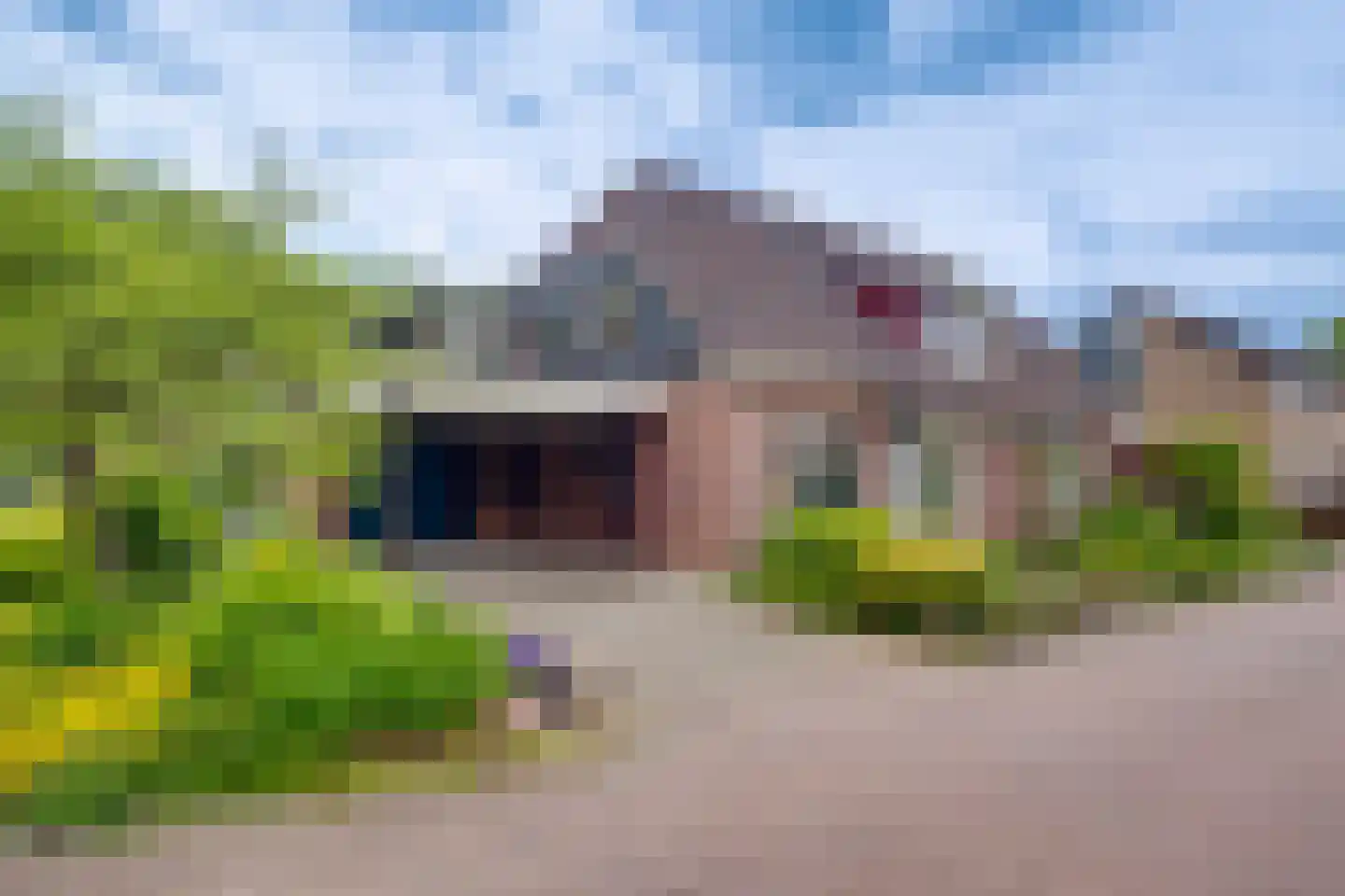 Sporkehout 38 Harfsen thumbnail 6