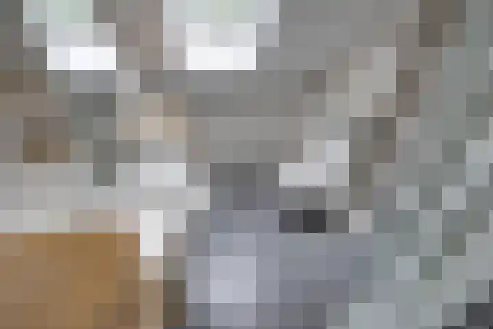 Sporkt 18 Rijen thumbnail 30