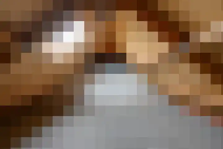Sporkt 18 Rijen thumbnail 33
