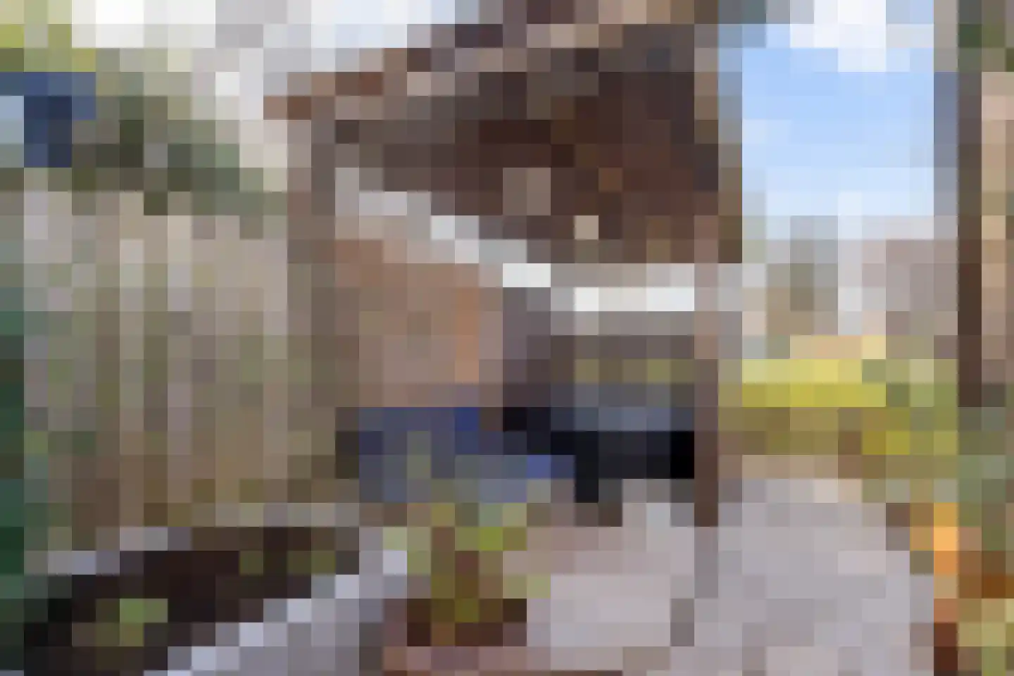 Sportdreef 10 Huissen thumbnail 23