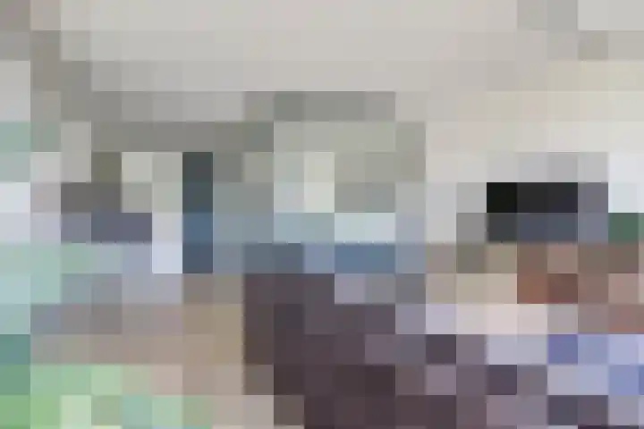 Sportdreef 11 Huissen thumbnail 4