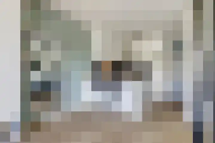 Sportdreef 11 Huissen thumbnail 5