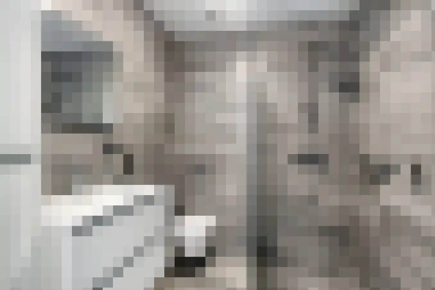 Sportdreef 25 Huissen thumbnail 25