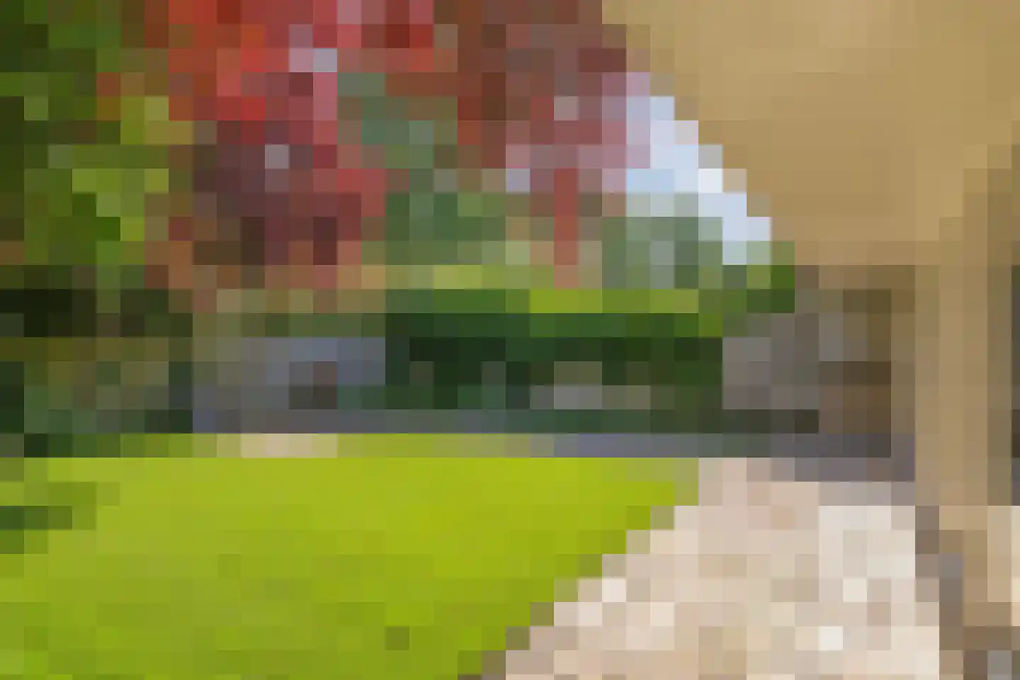 Sportdreef 26 Huissen thumbnail 33
