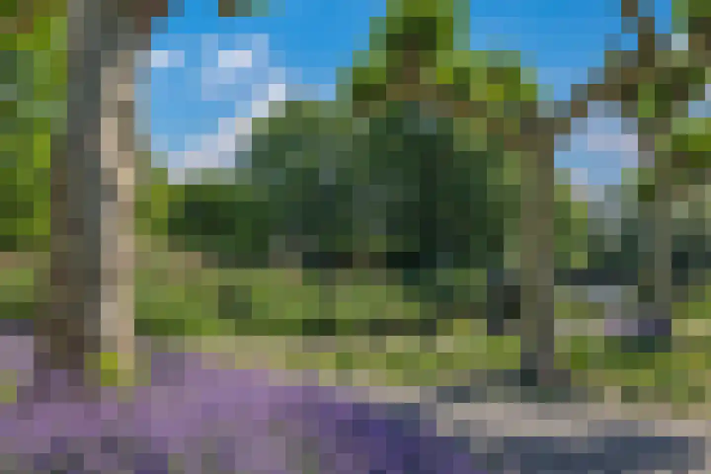 Sportdreef 26 Huissen thumbnail 38