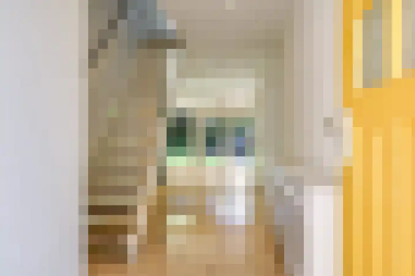 Sportdreef 26 Huissen thumbnail 5
