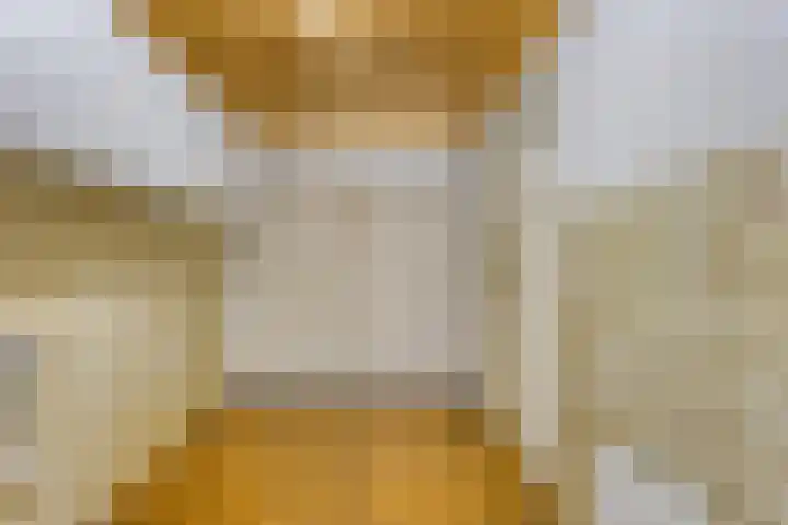 Sportdreef 33 Huissen thumbnail 10