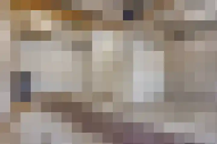Sportdreef 33 Huissen thumbnail 13