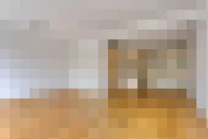 Sportdreef 33 Huissen thumbnail 17
