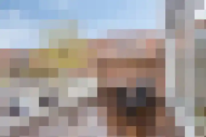 Sportdreef 33 Huissen thumbnail 19
