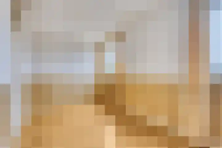 Sportdreef 33 Huissen thumbnail 23