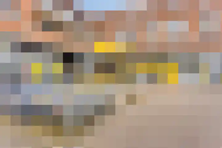 Sportdreef 33 Huissen thumbnail 30