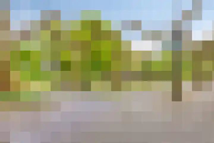 Sportdreef 33 Huissen thumbnail 34