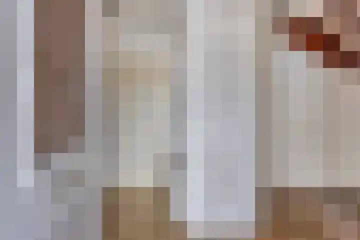 Sportdreef 33 Huissen thumbnail 7