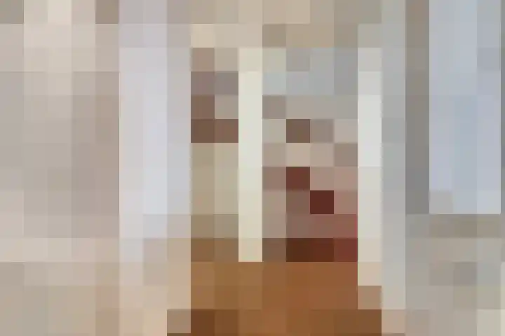 Sportdreef 33 Huissen thumbnail 9
