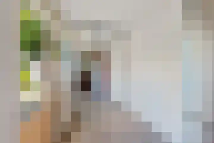 Sportfjild 3 Balk thumbnail 14