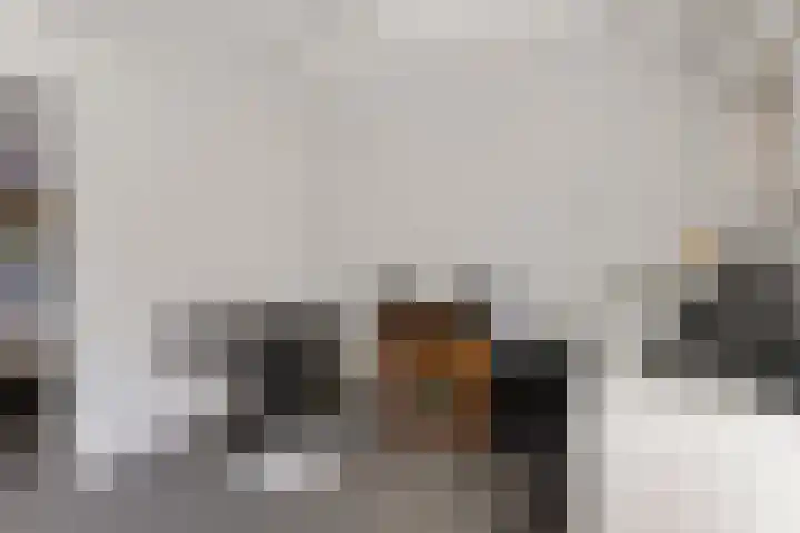 Sportfjild 3 Balk thumbnail 15