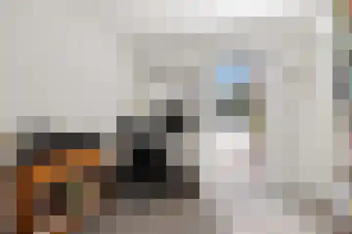 Sportfjild 3 Balk thumbnail 16