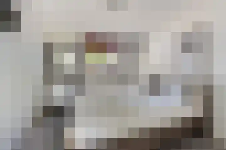 Sportfjild 3 Balk thumbnail 17