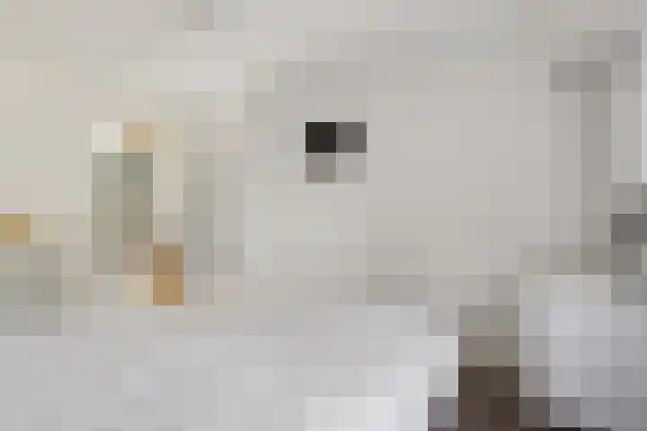 Sportfjild 3 Balk thumbnail 18