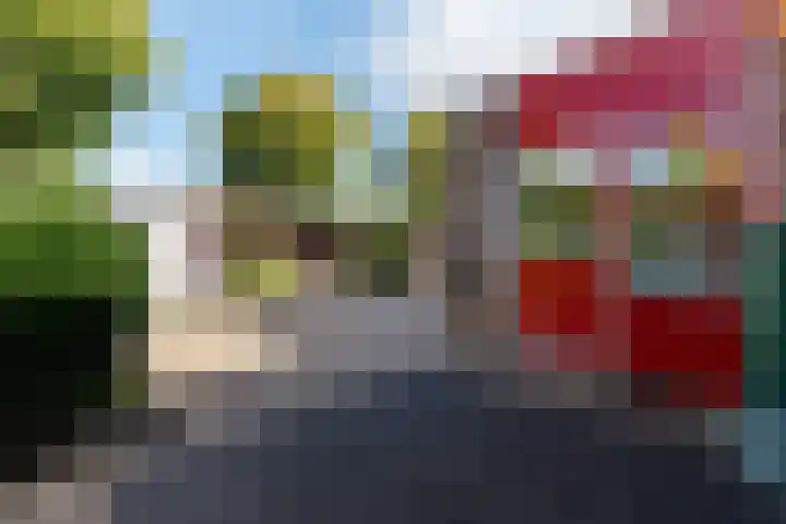 Sportfjild 3 Balk thumbnail 29